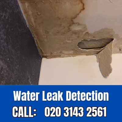 Expert Water Leak Detection Services in Meopham | Meopham Leak Detection